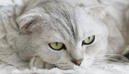 开云体育：照亮运动生活的新纪元